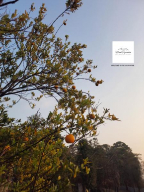 HIMVIGRAHA- Your Mountain Retreat